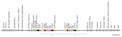 First Report of New Delhi Metallo-β-Lactamase-6 (NDM-6) in a Clinical Acinetobacter baumannii Isolate From Northern Spain